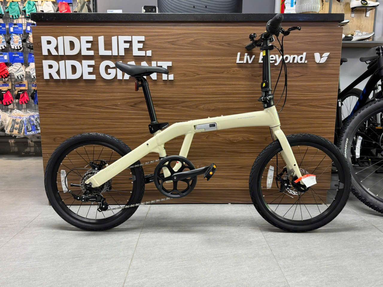 Xe đạp gấp Momentum Ithink Expressway D Ltd 2 2025